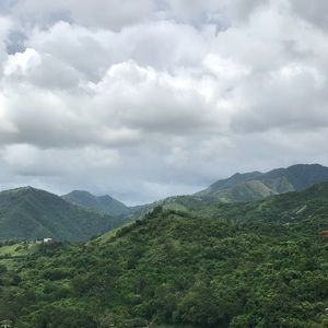 Meet your Posher, Carmen a.